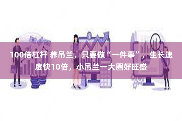 100倍杠杆 养吊兰，只要做“一件事”，生长速度快10倍，小吊兰一大圈好旺盛