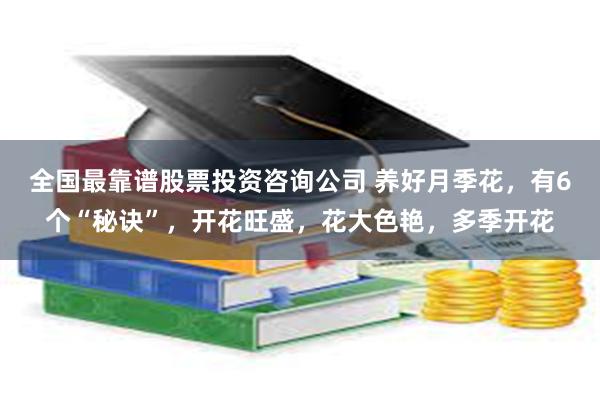 全国最靠谱股票投资咨询公司 养好月季花，有6个“秘诀”，开花旺盛，花大色艳，多季开花