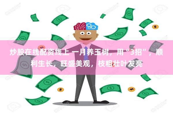 炒股在线配资线上 一月养玉树，用“3招”，顺利生长，旺盛美观，枝粗壮叶发亮