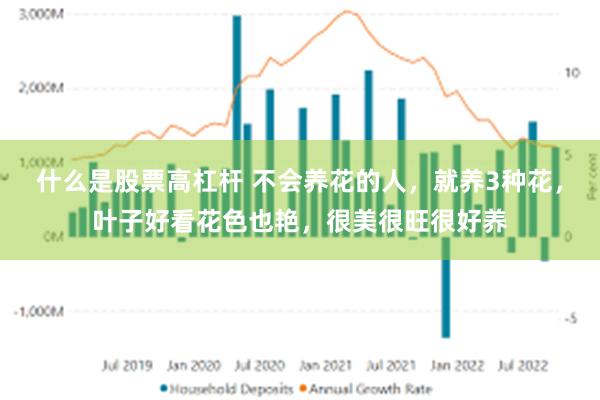 什么是股票高杠杆 不会养花的人，就养3种花，叶子好看花色也艳，很美很旺很好养