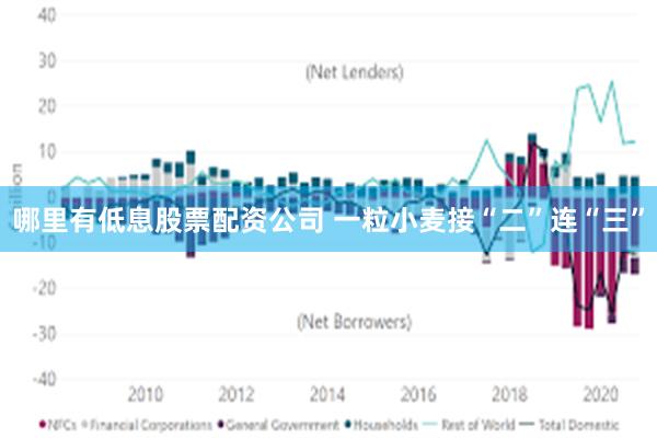 哪里有低息股票配资公司 一粒小麦接“二”连“三”