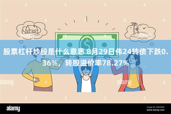 股票杠杆炒股是什么意思 8月29日伟24转债下跌0.36%，转股溢价率78.27%