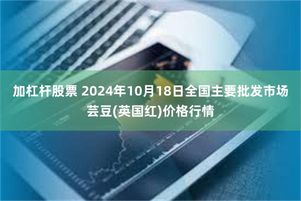 加杠杆股票 2024年10月18日全国主要批发市场芸豆(英国红)价格行情