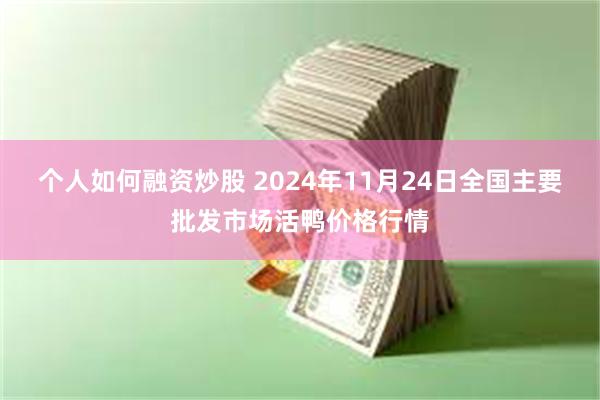 个人如何融资炒股 2024年11月24日全国主要批发市场活鸭价格行情